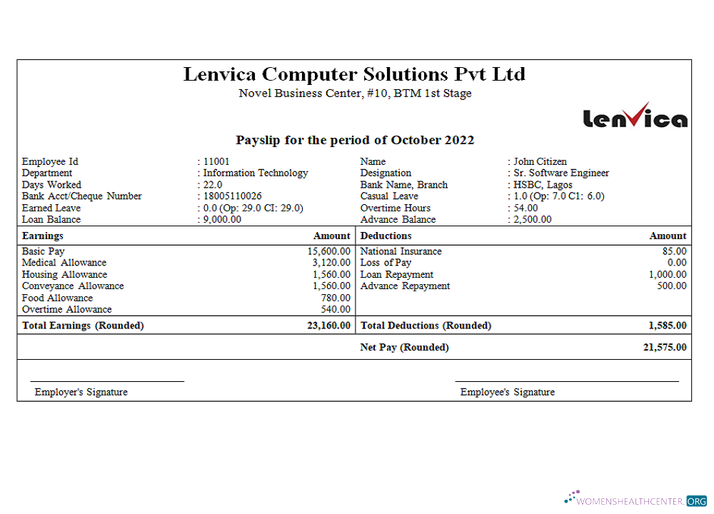 Download India Lenvica computer solutions company Photoshop template